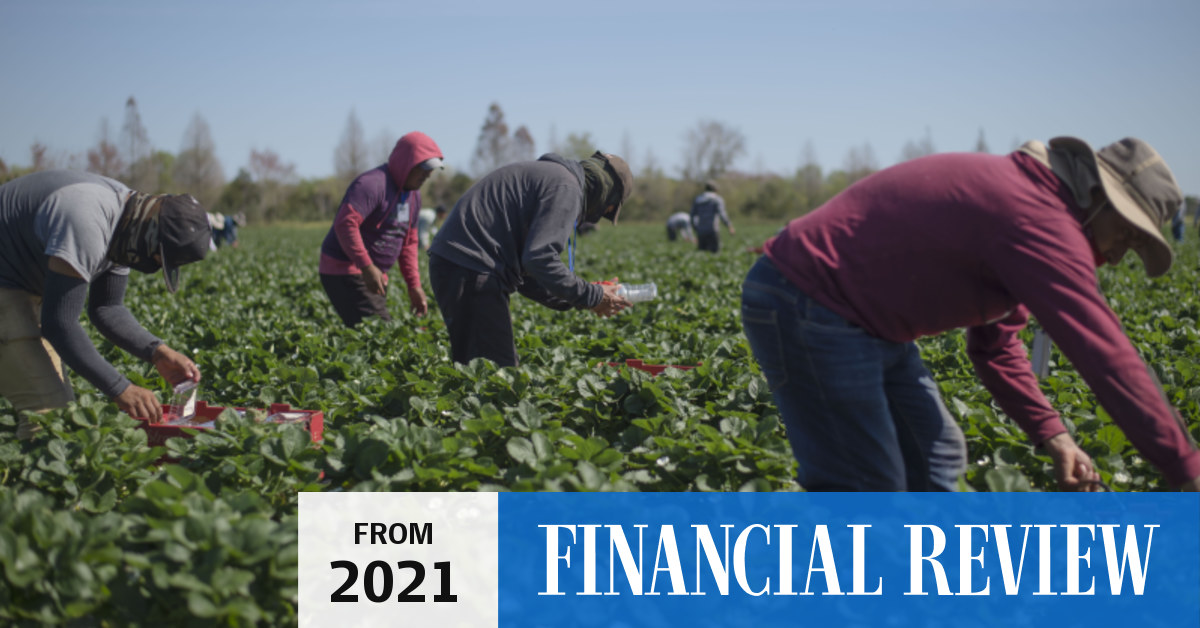 Farm workers paid average ‘9 a day’